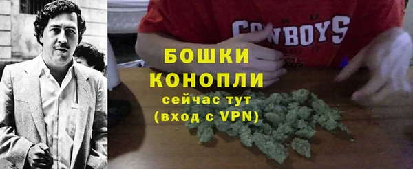 a pvp Абаза