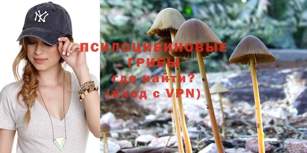 a pvp Абаза