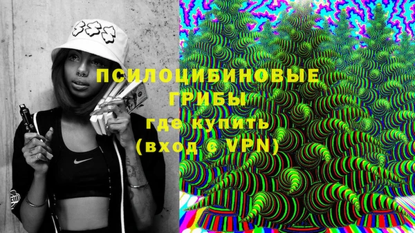 трава Медвежьегорск