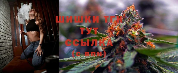 спиды Мегион