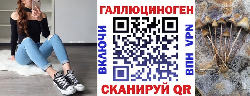 Псилоцибиновые грибы Cubensis  купить закладку  omg рабочий сайт  Приволжский 